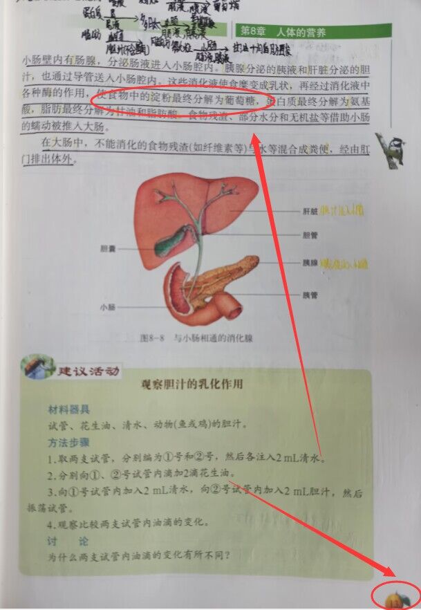 QQ图片20230306222327.jpg